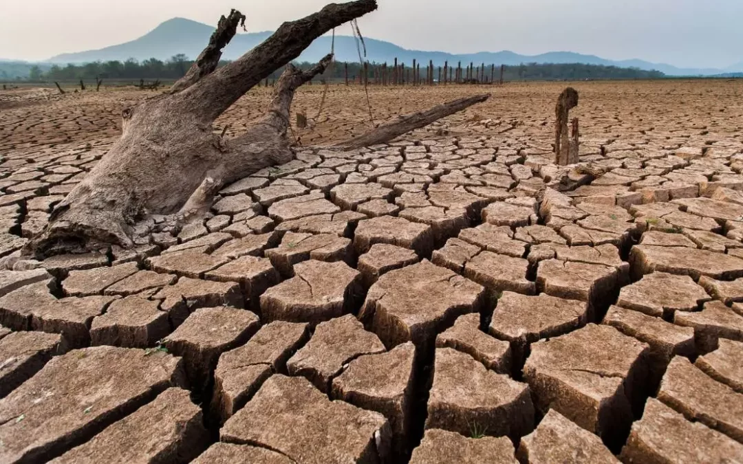 Europa colpita dalla più grave siccità in 500 anni