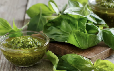 ORO VERDE. IL SUCCESSO DEL BASILICO