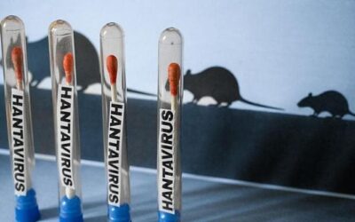 HANTAVIRUS. SARÀ UN NUOVO COVID?