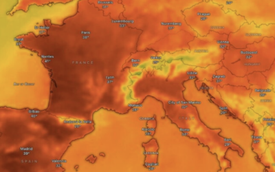 CALDO ESTREMO. ECCO I CIBI CHE TI AIUTANO